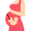 pregnancy icon