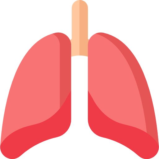 Lung Rehab Care Plans by secondmedic.com