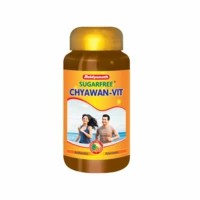 Baidyanath Sugarfree Chyawan Vit Health Food Jar Of 500 G