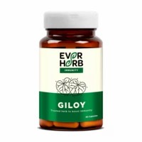 Everherb Giloy (guduchi) 500mg - Ayush Recommended Immunity Booster