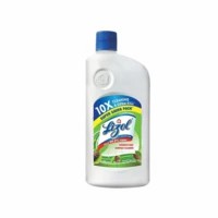 Lizol Pine Disinfectant Floor Cleaner Liquid Bottle Of 975 Ml