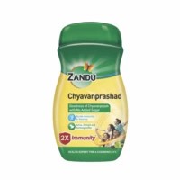 Zandu Chyavanprashad Sugar Free Health Supplement Bottle Of 900 G