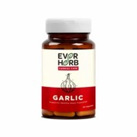 Everherb Garlic 500mg - Pure Garlic Bulb Extracts - Improves Blood Circulation - Bottle Of 60