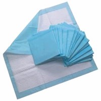Pawcloud Pet Toilet Training Pad & Nylon Puppy Bone (17.5 Inch X 23.3 Inch), 25 Pcs