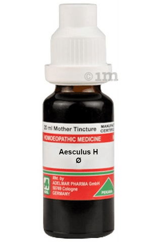 ADEL Aesculus H Mother Tincture Q