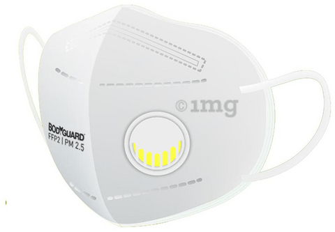 Bodyguard White Anti-Pollution Disposable FFP2 Face Mask