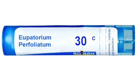 Boiron Eupatorium Perfoliatum Pellets 30C