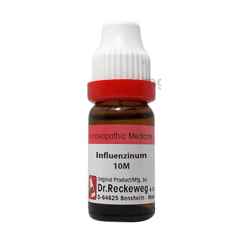 Dr. Reckeweg Influenzinum Dilution 10M CH