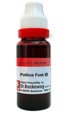 Buy Dr. Reckeweg Pothos Foetida Mother Tincture Q Online, View Uses,  Review, Price, Composition | SecondMedic