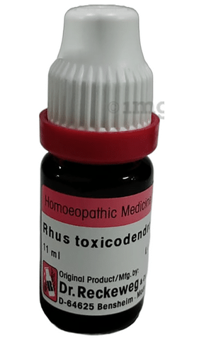 Dr. Reckeweg Rhus Tox Dilution 30 CH