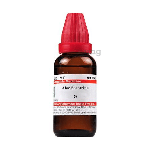 Dr Willmar Schwabe India Aloe Socotrina Mother Tincture Q