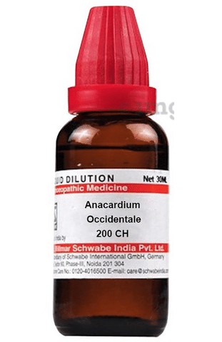 Dr Willmar Schwabe India Anacardium Occidentale Dilution 200 CH