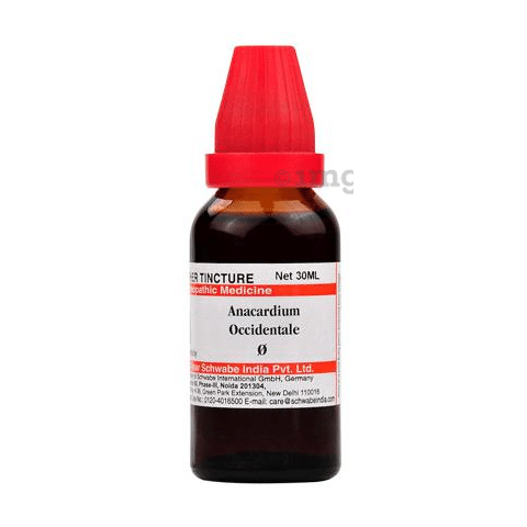 Dr Willmar Schwabe India Anacardium Occidentale Mother Tincture Q