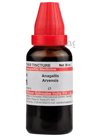 Dr Willmar Schwabe India Anagallis Arvensis Mother Tincture Q