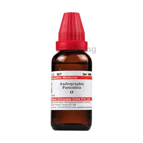 Dr Willmar Schwabe India Andrographis Paniculata Mother Tincture Q