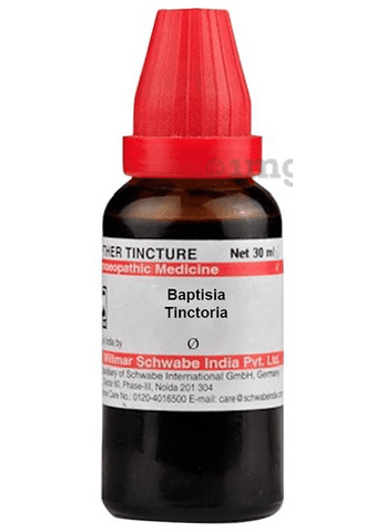 Dr Willmar Schwabe India Baptisia Tinctoria Mother Tincture Q