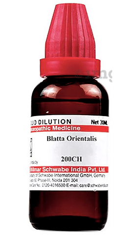 Dr Willmar Schwabe India Blatta Orientalis Dilution 200 CH