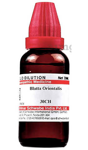 Dr Willmar Schwabe India Blatta Orientalis Dilution 30 CH