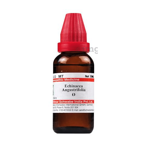 Dr Willmar Schwabe India Echinacea Angustifolia Mother Tincture Q