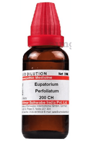 Dr Willmar Schwabe India Eupatorium Perfoliatum Dilution 200 CH