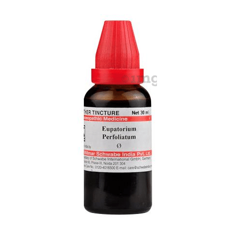 Dr Willmar Schwabe India Eupatorium Perfoliatum Mother Tincture Q