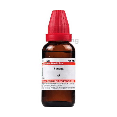 Dr Willmar Schwabe India Senega Mother Tincture Q