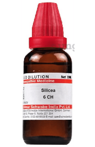 Dr Willmar Schwabe India Silicea Dilution 6 CH