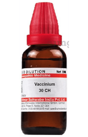 Dr Willmar Schwabe India Vaccinium Dilution 30 CH
