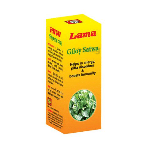 Lama Giloy Satwa