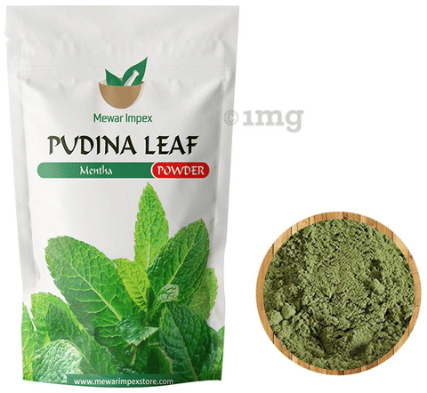 Mewar Impex Pudina Leaf Powder