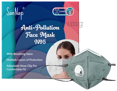 SanNap N95 Anti-Pollution Face Mask