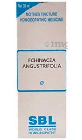 SBL Echinacea Angustifolia Mother Tincture Q