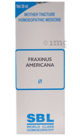 SBL Fraxinus Americana Mother Tincture Q
