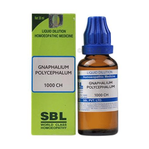 SBL Gnaphalium Polycephalum Dilution 1000 CH