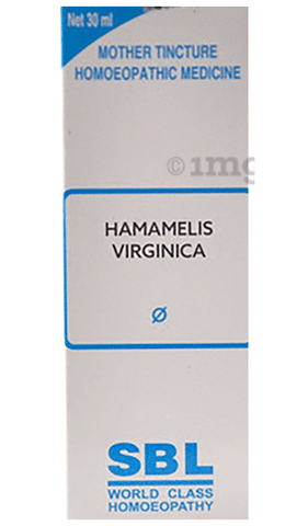 SBL Hamamelis Virginica Mother Tincture Q