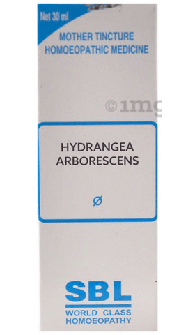 SBL Hydrangea Arborescens Mother Tincture Q