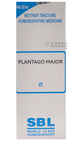 SBL Plantago Major Mother Tincture Q
