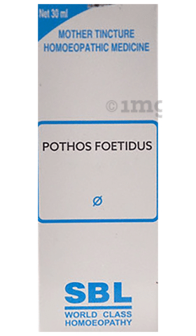 SBL Pothos Foetidus Mother Tincture Q