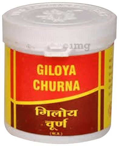 Vyas Giloya Churna