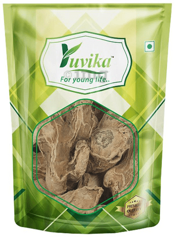 Yuvika Sonth - Zingiber Officinale - Dry Ginger