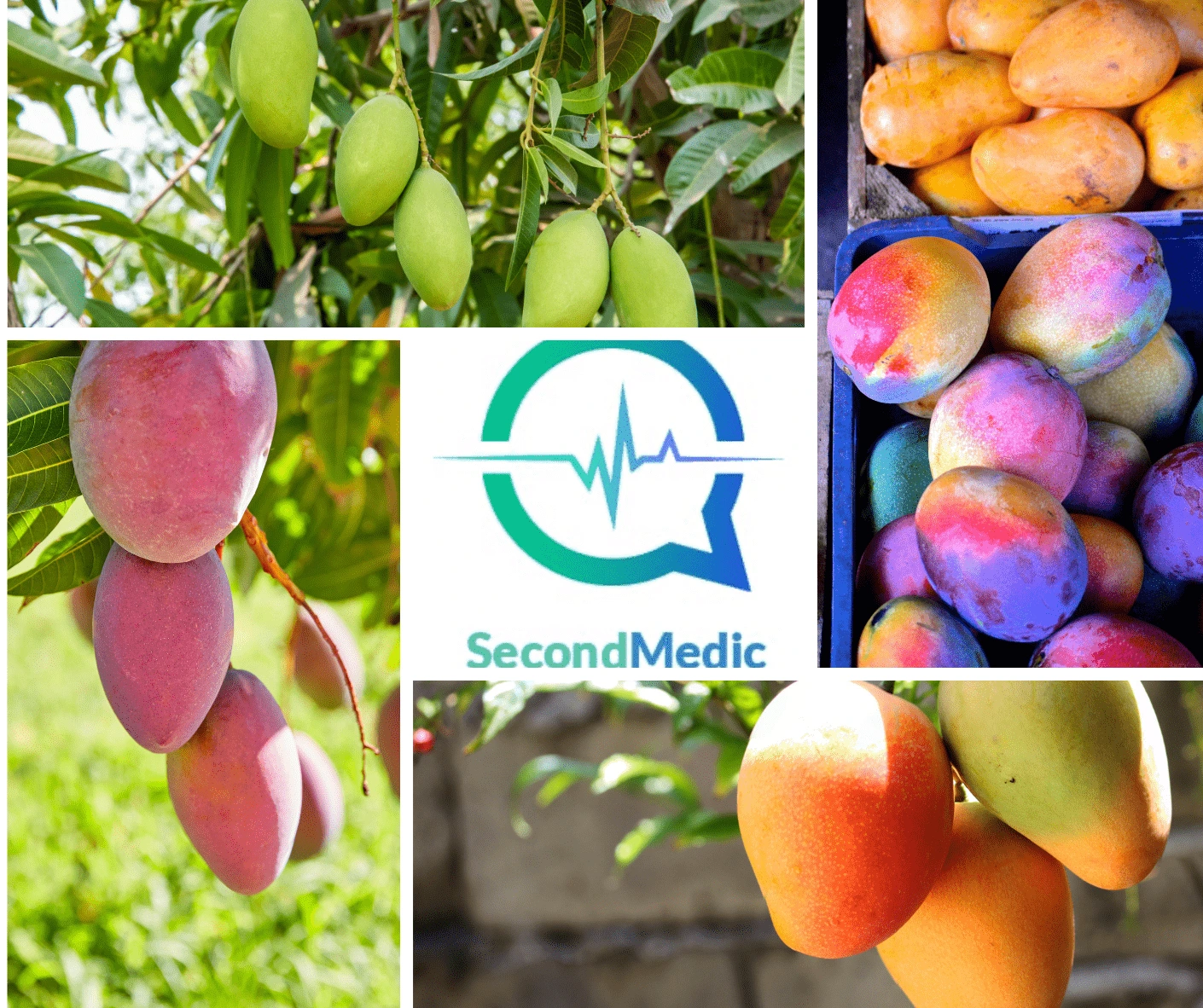 Can mangoes protect heart and gut health?