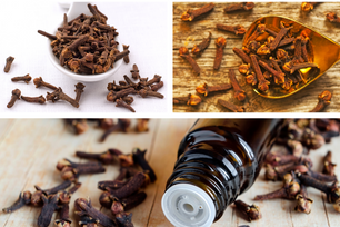 10 Surprising Health Benefits of Cloves: From Pain Relief to Immune Boosting Blog Image