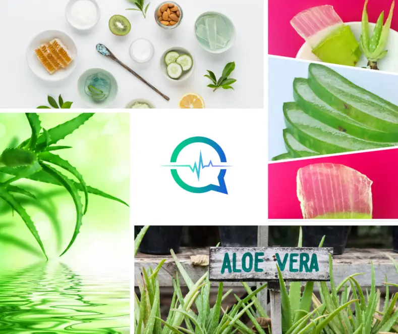 What are the benefits of Aloe Vera?