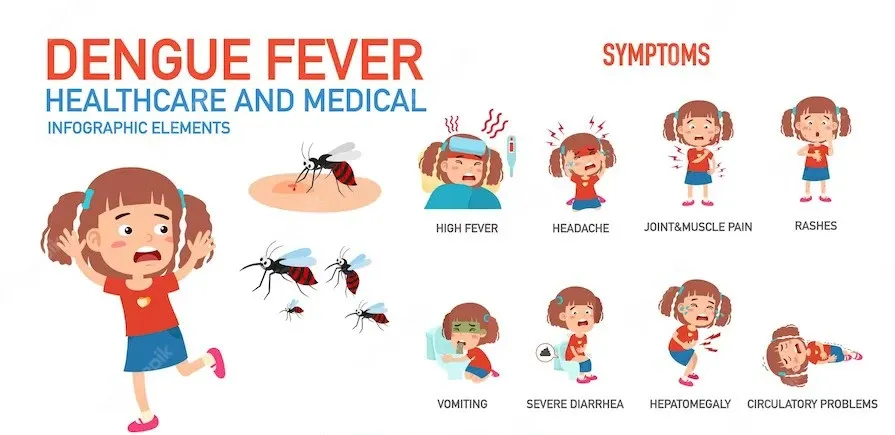 Dengue Decoded: Cracking the Code on Symptoms, Prevention, and Treatment