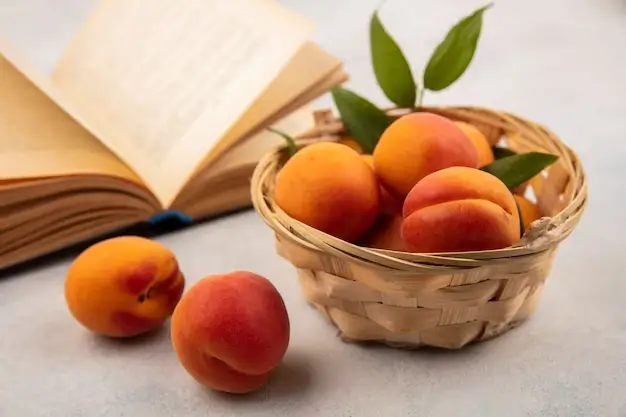 The Golden Goodness: Exploring the Nutritional and Health Benefits of Apricots