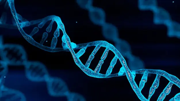 Decoding Your DNA: Exploring the Wonders and Benefits of Genetic Testing