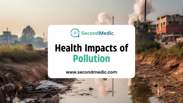 Health Impacts of Pollution