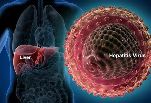 ANTI HEPATITS A VIRUS (HAV) - TOTAL