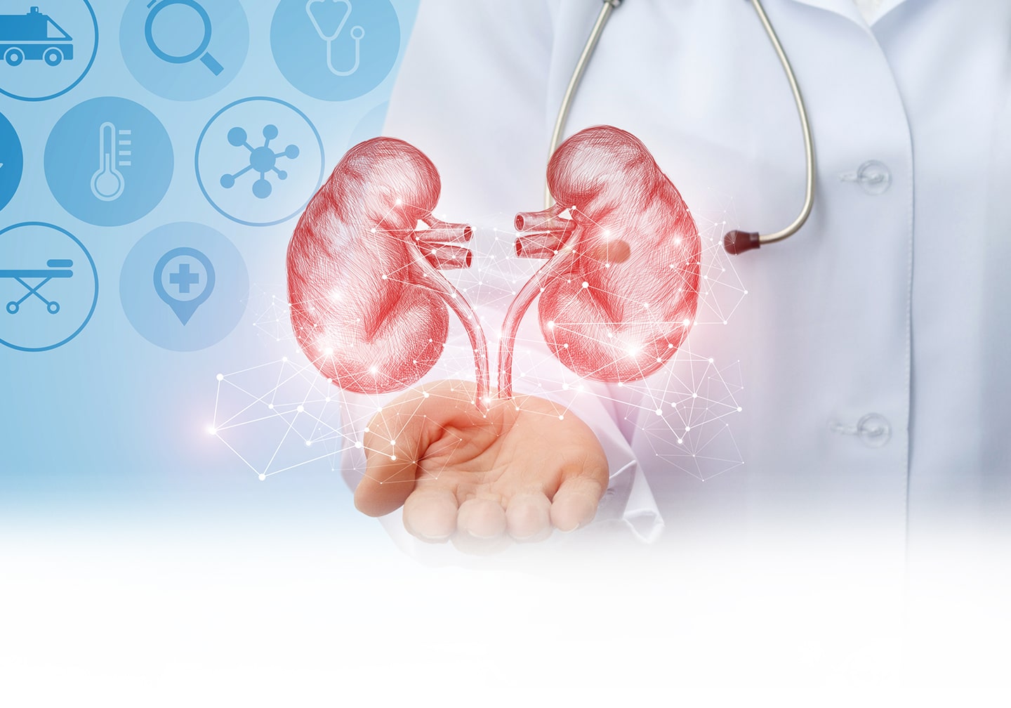 Kidney Function Test (Renal Profile)