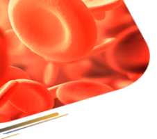 Complete Blood Count